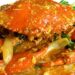 Kepiting Saos Padang