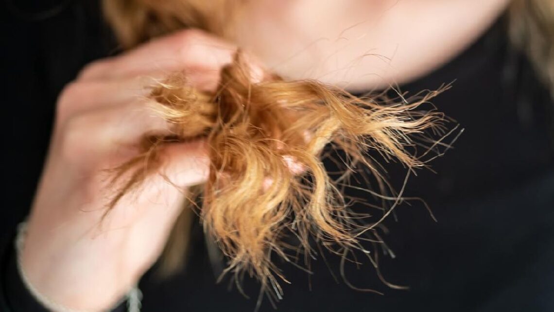 Mencegah Rambut Bercabang