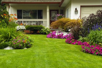 Inspirasi Taman Depan