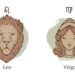 Leo dan Virgo